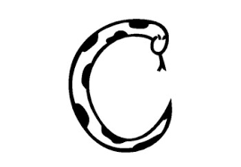 Or download zoo animal coloring page as a pdf file. Zoo Animal Coloring Pages Worksheets Teaching Resources Tpt