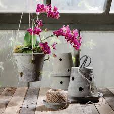 Berbicara mengenai bunga anggrek tentu sudah tidak asing lagi di telinga kita, segala keindahan dan kecantikan yang ditawarkannya membuat semua orang terpana melihatnya. Anggrek Mulai Layu Rawat Menjadi Kembali Hidup Dengan 5 Langkah Ini