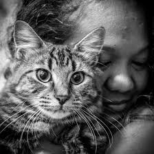 Cat sitters and cat minding services