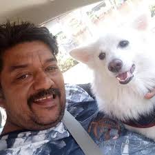 Air purifier not working, showing error sign