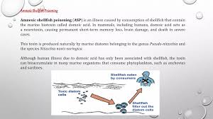 Image result for Amnesic Shellfish Poisoning