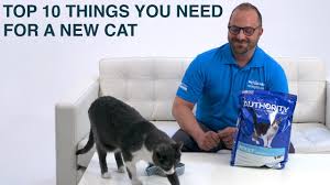 Declawing should only be performed on cats as a last resort. Things You Need For A New Cat Or Kitten Petsmart Youtube