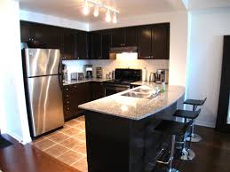 White cabinetry is frequently used in small galley kitchens because it reflects light and brightens a compact space. Small Condo Interior Design Kitchen Novocom Top