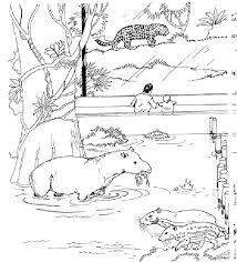Free Printable Zoo Coloring Pages For Kids