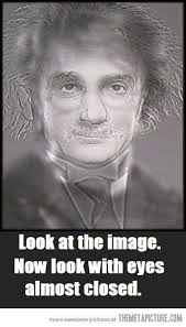 Albert Einstein Or Harry Potter Opticalillusion Optometry Harry Potter Funny Harry Potter Harry Potter Funny Pictures
