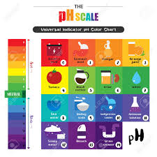 It is a mixture of in the middle, neutral ph 7 is indicated by green. The Ph Scale Universal Indicator Ph Color Chart Diagram Acidic Royalty Free Cliparts Vectors And Stock Illustration Image 81803317