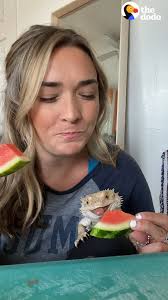 Dragon named Lenny runs away when Mom tries to make him eat his veggies 🦎🥗