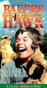 Amazon.com: Baker's Hawk [VHS] : Clint Walker, Burl Ives, Diane Baker, Lee  Montgomery, Alan Young, Taylor Lacher, Bruce M. Fischer, Cam Clarke, Phil  Hoover, Danny Bonaduce, Brian Williams, Burt Mustin, Martin Eric,