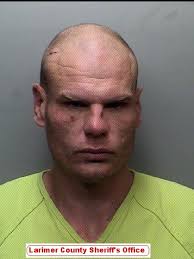 High-speed chase suspect arrested in Wellington