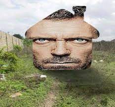 110 HOUSE.md ideas in 2024 | dr house, house md, gregory house