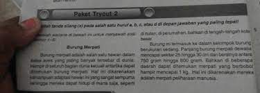 40+ contoh soal materi ide pokok, kalimat utama, dan gagasan utama dilengkapi kunci. 1 Kalimat Utama Paragraf Pertama Pada Teks Di Atas Adalah2 Pernyataan Yang Tepat Sesuai Paragraf Di Brainly Co Id