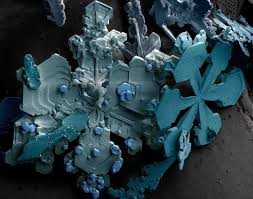 Snow Under An Electron Microscope Things Under A Microscope Electron Microscope Images Scanning Electron Microscope