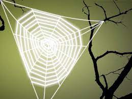 The web scraping tool is. Ask Smithsonian How Do Spiders Make Their Webs At The Smithsonian Smithsonian Magazine