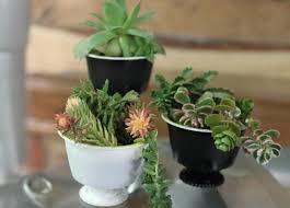 For your first use of the dolce gusto pod place the pod in the correct position for you machine. Turning Waste Into Wares Nestle