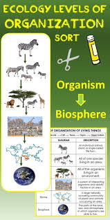 Looking For A New Way To Teach The Levels Of Organization In An Ecosystem This I Science Teaching Resources Secondary Science Lessons Critical Thinking Skills