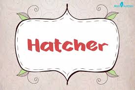 Explore Hatcher: Meaning, Origin & Popularity