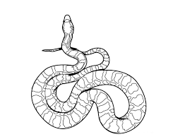 More 100 images of different animals for children's creativity. Free Printable Snake Coloring Pages For Kids
