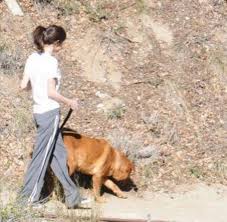 Betul Kartal Adli Kullanicinin Animals And Selena Panosundaki Pin
