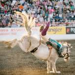 Redding Rodeo