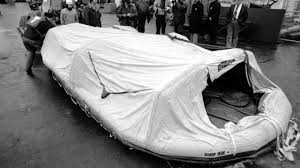 Image result for Superior White 1995 Fleet