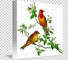 Free cross stitch patterns that everyone can download and enjoy. Needlepoint The Birds Of Australia Cross Stitch Pattern Png Clipart Beak Bird Birds Of Australia Branch