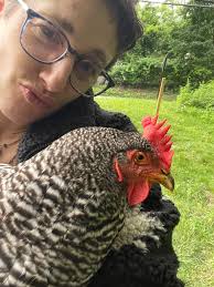 How to get rid of rats under chicken coop?