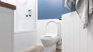 You can adopt one of these easy recipes for cleaning your toilets. How To Clean A Dirty Toilet Bunnings New Zealand