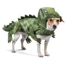 Thrills And Chills Halloween Dinosaur Pet Costume Size