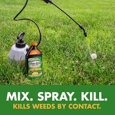 How To Eradicate Crabgrass | Green Industry Pros