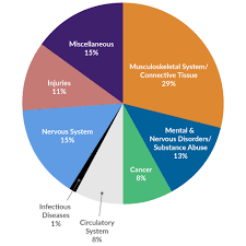 disability pie chart fahmy and associates