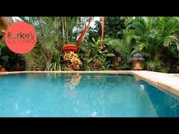 Burke S Backyard Tropical Garden On A Budget Youtube