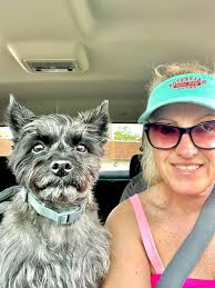 Cassie, my co-pilot. On our way home from kayaking. I swear she is smiling  in this pic!