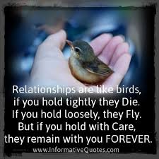 Relationships Are Like Birds Informative Quotes Happy Morning Quotes Relationship Fly Quotes