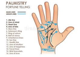 The presence of these lines indicate your financial strength. Palmistry The Line Of Wealth In Your Palm Such People Become Rich The State