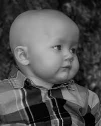 Contributions to the tribute of Devin James Carey