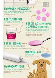 Pin On Fur Babies
