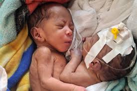 Man to be jailed over Rosedale farm buggy crash that killed Olivia Stevens 