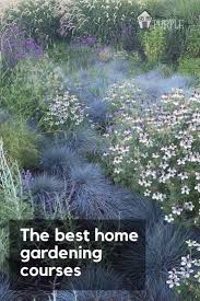 Pin On Landscape Garden Plans Ideas