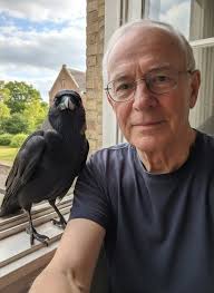 Junior the crow visits daily since June 2022