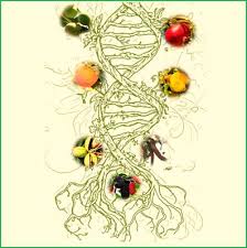 They are a mechanism through which plants can spread their genes as far and wide as possible so more of their kind populate the land. Breeding Innovations In Underutilized Temperate Fruit Trees Frontiers Research Topic