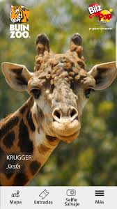 Enviar por correo electrónico escribe un blog compartir con twitter compartir con facebook compartir en pinterest. Ya Descargaste La App Parque Zoologico Buin Zoo Chile Facebook