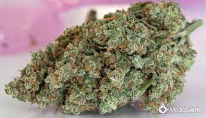 Jack Herer Marijuana Strain Review