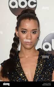 Winter jasmin hi-res stock photography and images