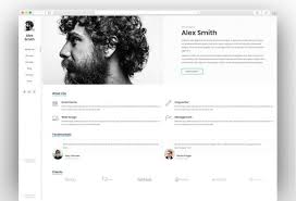 The homepage is made out of different sections like about, skills, projects, portfolio, blog, and a contact form. Resume Cv Vcard Portfolio Online Cv Professional Wordpress Themes Wordpress Portfolio Template