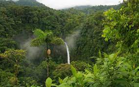 Tropical Animals Top Ranked Tropical Animals Wallpapers Pc Best Nature Wallpapers Nature Wallpaper Amazing Nature