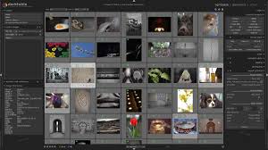Does anyone use capture nx and the import the images to lr? The Best Free Photo Editor Digital Camera World