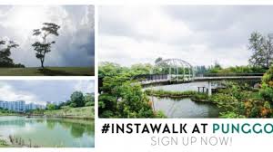 Discover the best of punggol so you can plan your trip right. 10 Sights In Punggol That Make It Singapore S Most Instaworthy Neighbourhood