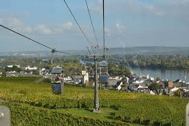 Hover above the vines in the rüdesheim cable car! An Excellent Cable Car Ride Review Of Seilbahn Rudesheim Ruedesheim Am Rhein Germany Tripadvisor
