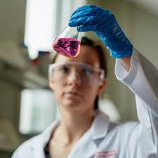 Early Career Researcher Day