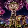 Singapore gardens by the bay. 1